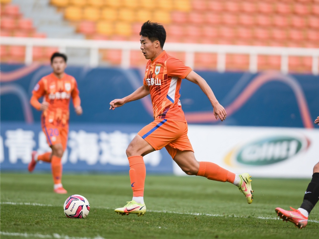 关注这一领 关注这一领